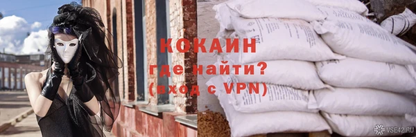 крисы Бронницы