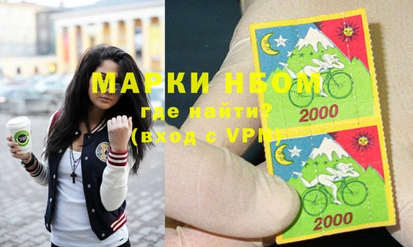 мдпв Бородино
