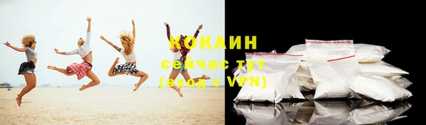 мдпв Бородино