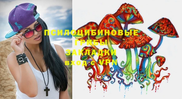 крисы Бронницы