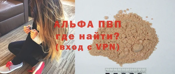 мдпв Бородино