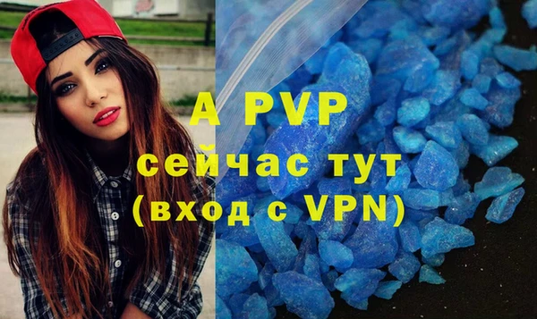 мдпв Бородино
