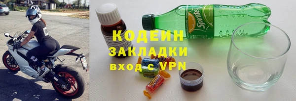 мдпв Бородино