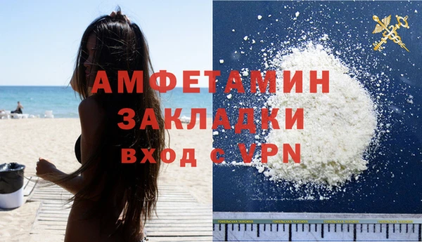 мдпв Бородино