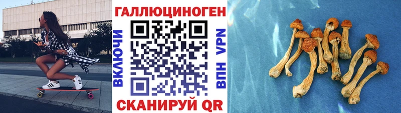 Псилоцибиновые грибы мухоморы  что такое   Калининград 