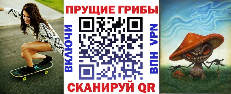 Галлюциногенные грибы Psilocybe Калининград